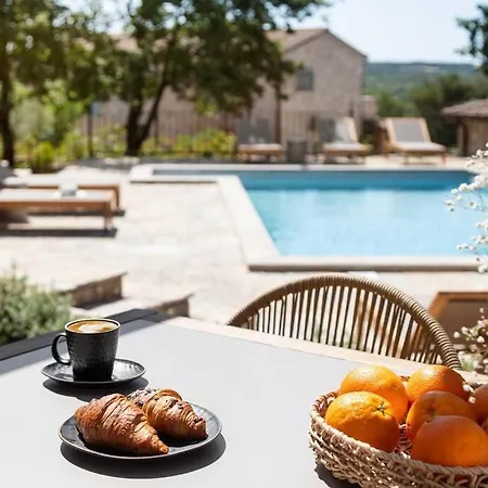 Rustic Sambucus With A Pool In Istria Villa